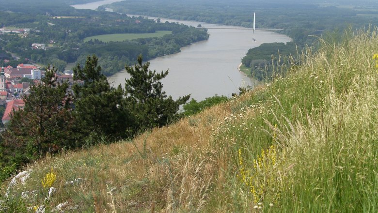View Braunsberg, © Gästeinfobüro Hainburg/Donau View of the Danube and surrounding landscape from Braunsberg.