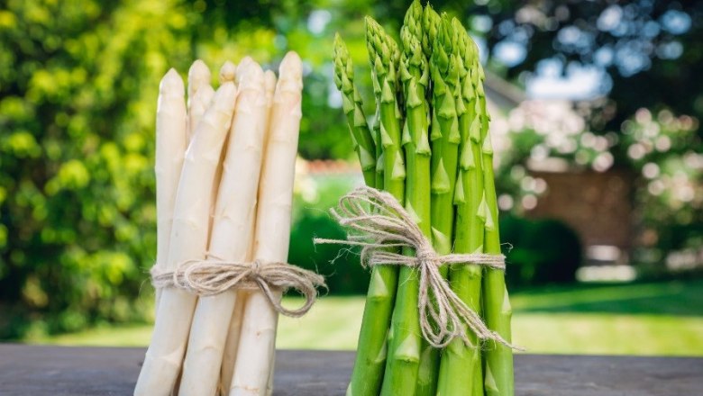 Asparagus, © Fam Edlinger Asparagus, © Fam Edlinger