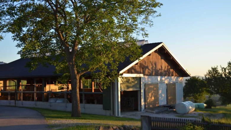 Milk love, Wegbauernhof, © Helen Brandstetter Milk love, Wegbauernhof, © Helen Brandstetter