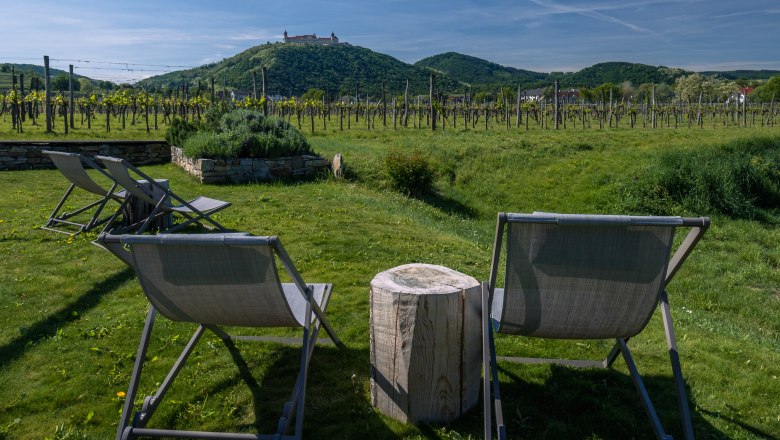MALAT Winery and Hotel, © Niederösterreich Werbung / Maximilian Pawlikowsky Two sun loungers on a meadow with a view of the vineyards.