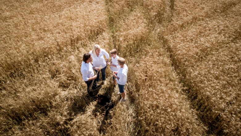 Family Geier, © Geier.die Bäckerei Four people stand in a golden wheat field and talk while a dog sits next to them.