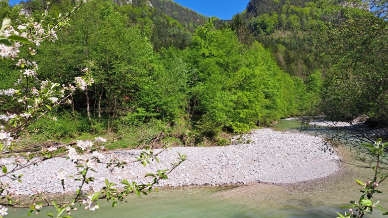 Vacation apartment Urmannsau, © Melitta Praus Vacation apartment Urmannsau, © Melitta Praus