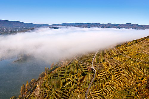 krems-stein_wachau_c_markus-haslinger-47, © Markus Haslinger krems-stein_wachau_c_markus-haslinger-47, © Markus Haslinger