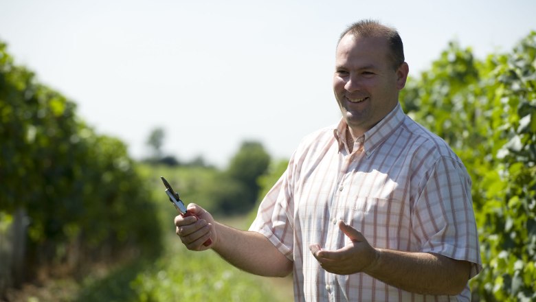 In the vineyard, © Michael Himml A man in a checked shirt stands smiling in a vineyard holding a pair of pruning shears.
