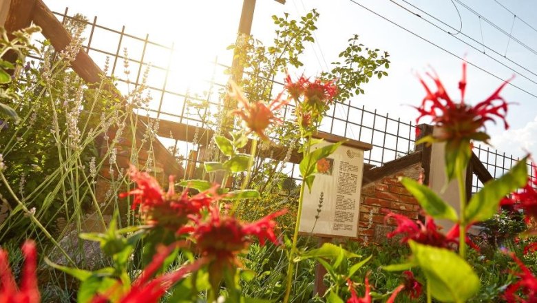 STYX herb garden, © STYX Naturcosmetic A sunny herb garden with red flowers and information board.