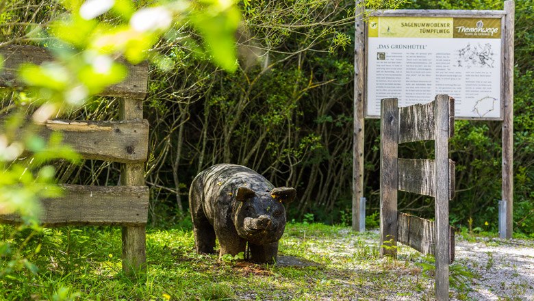 The Tümpflweg theme trail, © Wiener Alpen, Christian Kremsl Wooden sculpture of a wild boar on a nature trail with information board in the background.