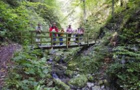 Hike Taubenbachklamm gorge, © www.steinschalerwiki.at Group of hikers on a wooden bridge in a wooded gorge.