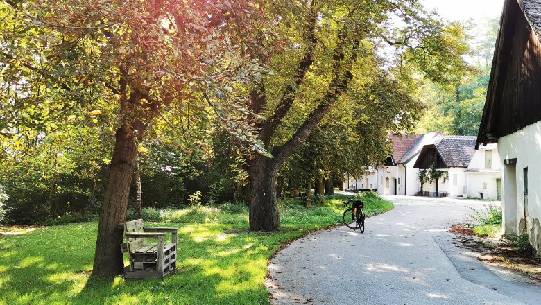 Romantic Peregriniplatzl, © Weinstraße Weinviertel An idyllic path with trees and white houses, a bicycle on the side of the road.