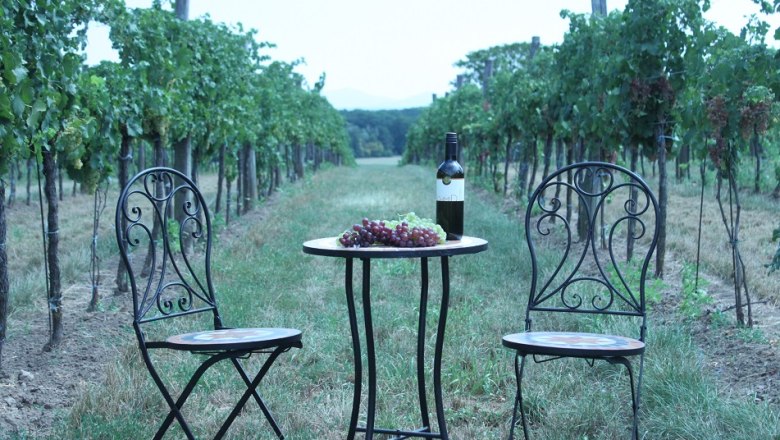 Biohof Schmid, © Schmid A table with a bottle of wine and grapes between two chairs in a vineyard.