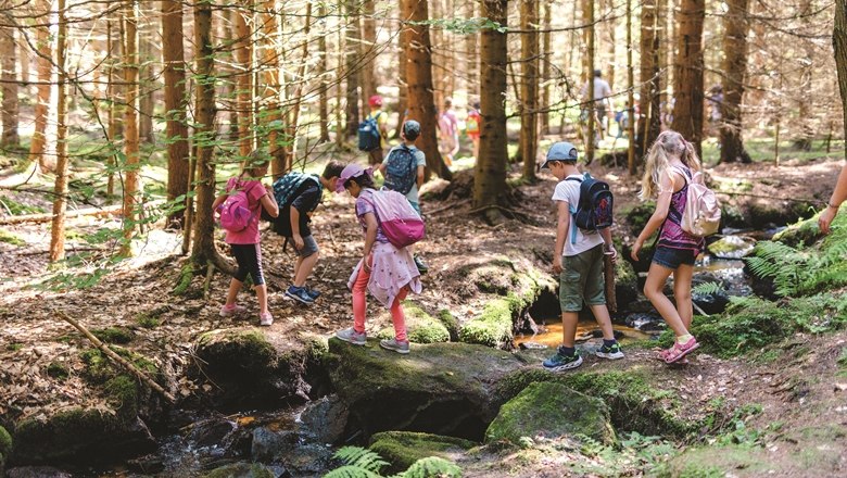 Hike, © Wunderwelt Wald, Fotograf Benjamin Wald Hike, © Wunderwelt Wald, Fotograf Benjamin Wald
