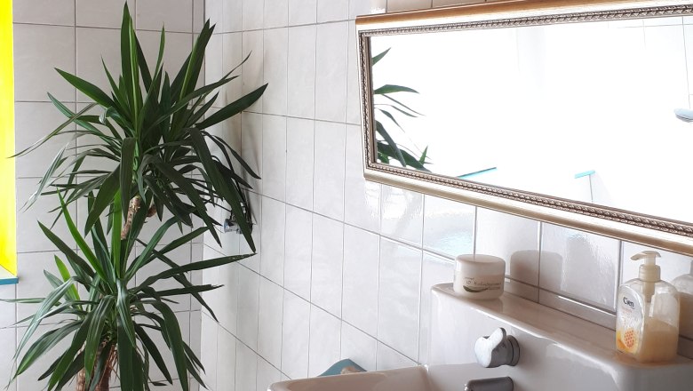 Bathroom, © DB Bathroom with washbasin, mirror and plant.