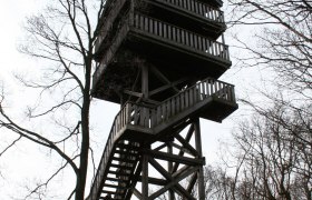 Unterolberndorf observation tower, © Christian Perschl Wooden lookout tower in the forest with bare trees.