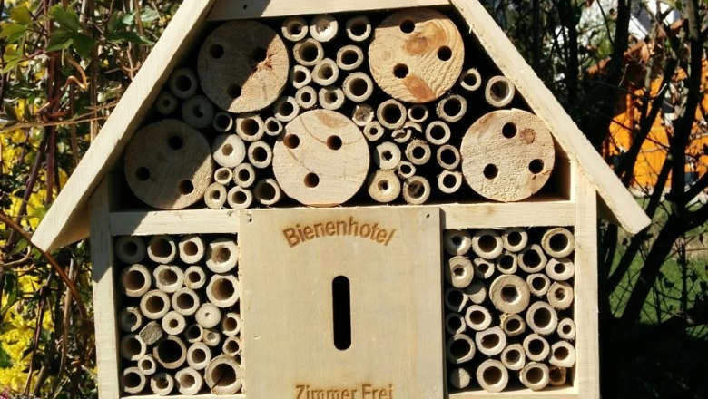 Bee hotel, © Reep A wooden bee hotel with various tubes and holes, mounted on an outdoor post.