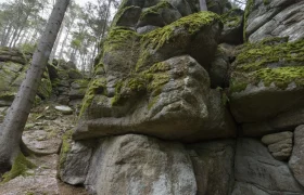 Rock formations near Groß Schönau, © Matthias Schickhofer Moss-covered rock formations in the forest near Groß Schönau.