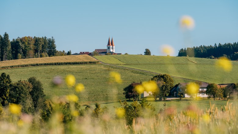 View of the pilgrimage church in Maria Schnee from Edlitz, © Wiener Alpen/Roman Königshofer Photography Landscape with pilgrimage church with two towers and red roof on a hill