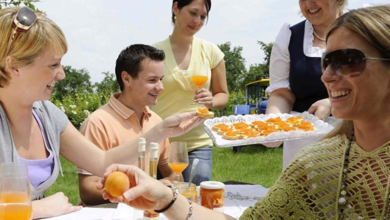Product tasting, © Steve Haider Group of people tasting apricot products outdoors.