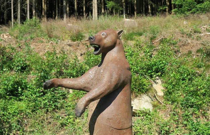 Target course, © ARRA-Bogensport Harmanschlag Target course, © ARRA-Bogensport Harmanschlag