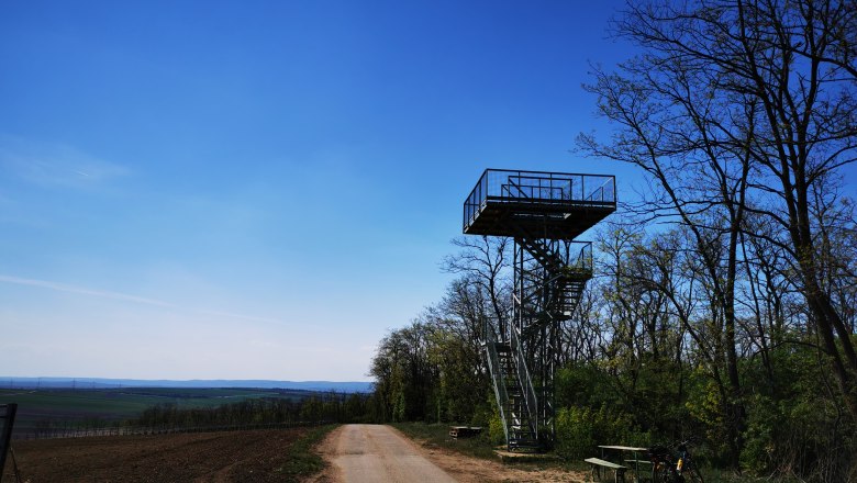 Heidbergwarte in Alberndorf, © Weinstraße Weinviertel Heidbergwarte observation tower in Alberndorf next to a path with trees and a bicycle.