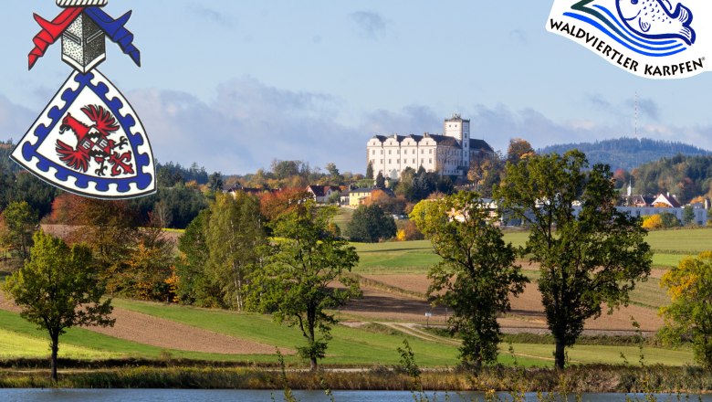 Fürstenberg fish, © Sabine Preißl Fürstenberg fish, © Sabine Preißl