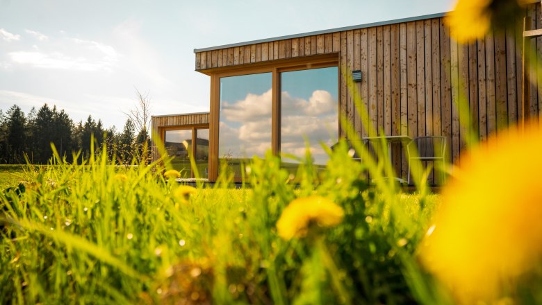 roo'n Lodges for a restful night, © Michael Kolm Wooden building with large windows in a green meadow with dandelions, under a blue sky.