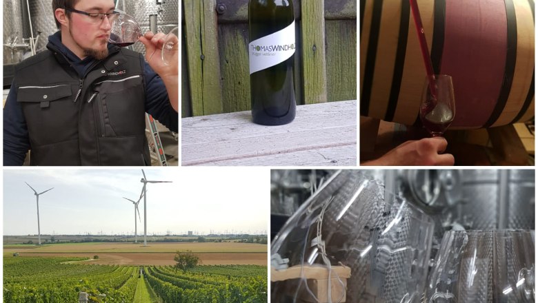 Viticulture Thomas Windholz, Bruck/Leitha, © Weinbau Thomas Windholz Viticulture Thomas Windholz, Bruck/Leitha, © Weinbau Thomas Windholz