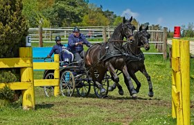 Karlstetten Driving and Riding Club, © Gerty Schabas Karlstetten Driving and Riding Club, © Gerty Schabas