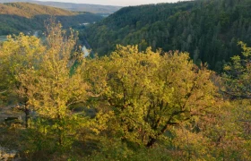 Ruin Schimmelsprung, © Matthias Schickhofer Ruin Schimmelsprung, © Matthias Schickhofer