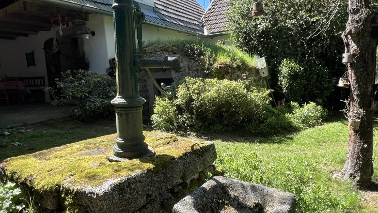 IMG_9538, © Katrin Karall-Semler IMG_9538, © Katrin Karall-Semler