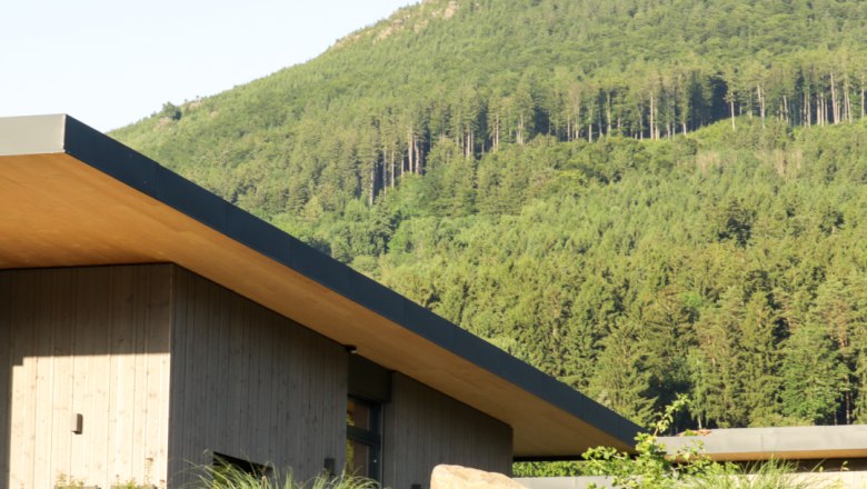 View of the Peilstein, © Familie Moser Modern building with a flat roof in front of a wooded mountain.