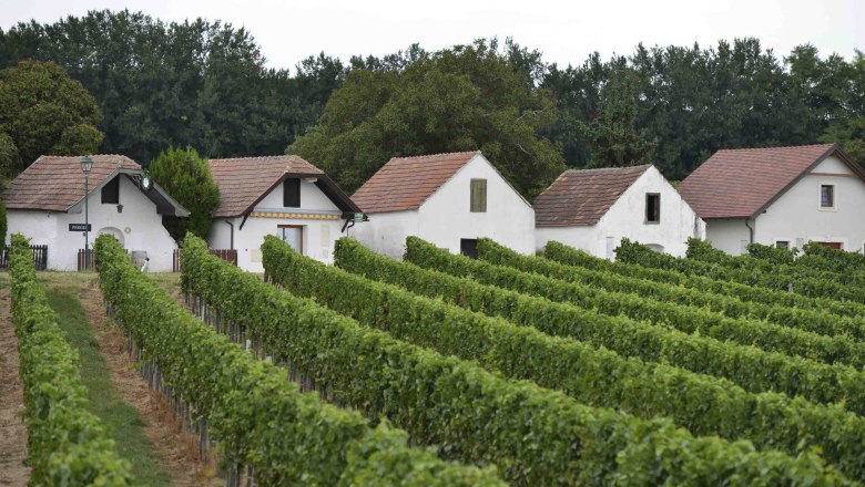 Prellenkirchen wine cellar lane, Roman remains of Carnuntum, © Steve Haider Prellenkirchen wine cellar lane, Roman remains of Carnuntum, © Steve Haider