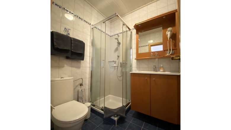 Vacation apartment Marille, © Trachsler Bathroom with shower, toilet and washbasin.