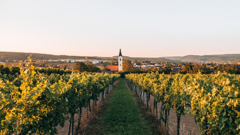 Langenlois, Austria's largest wine town, © Romeo Felsenreich