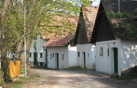 Velm-Götzendorf wine cellar lane, © Johannes Zillinger A picturesque alley with traditional white houses and green doors, surrounded by trees with fresh spring leaves.