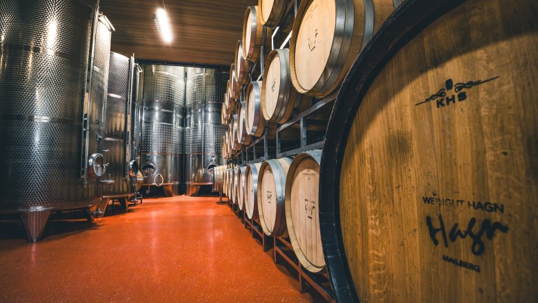 Wine domicile Hagn, © Niederösterreich Werbung / Maximilian Pawlikowsky Wine cellar with wooden barrels and stainless steel tanks.
