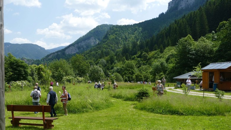 Paul Wieland Park, © Rupert Weidhofer People walking in a green park with mountains in the background.