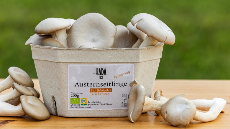 HaDaHof, © Theo Kust HaDaHof, © Theo Kust