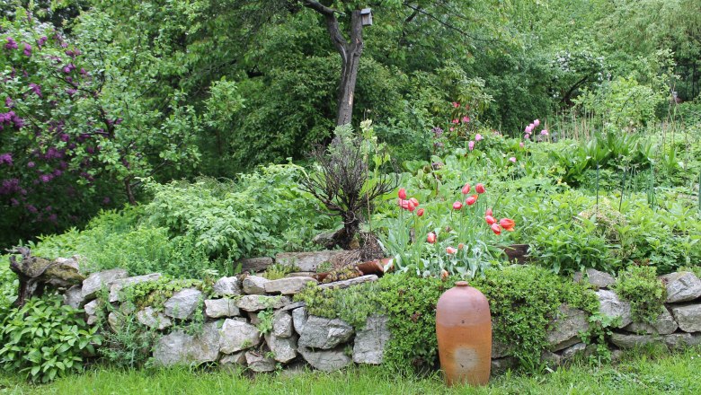 mai_13-2_003_ausschn_c_hofbauer, © Hofbauer A green garden with a stone wall, red tulips and a large clay jug.