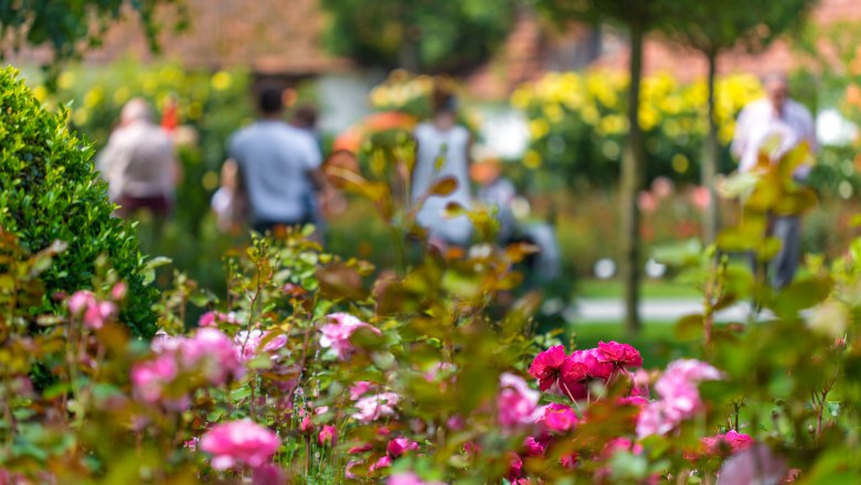 Rose garden in Pitten, © Wiener Alpen, Christian Kremsl Roses and plants in the foreground, people walking in the background