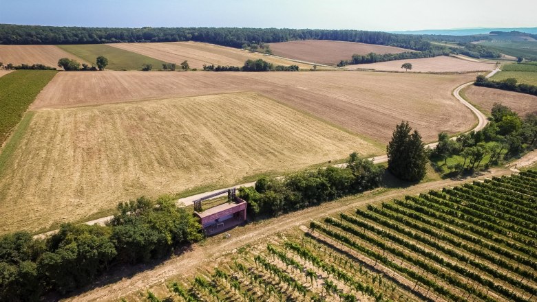 Immendorf circular ditch, © Marktgemeinde Wullersdorf Aerial view of fields and vineyards in Wullersdorf, Austria.