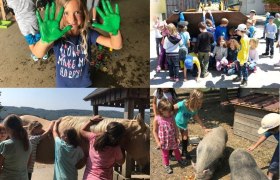 Animal experience, © Verein Naturhelden Animal experience, © Verein Naturhelden