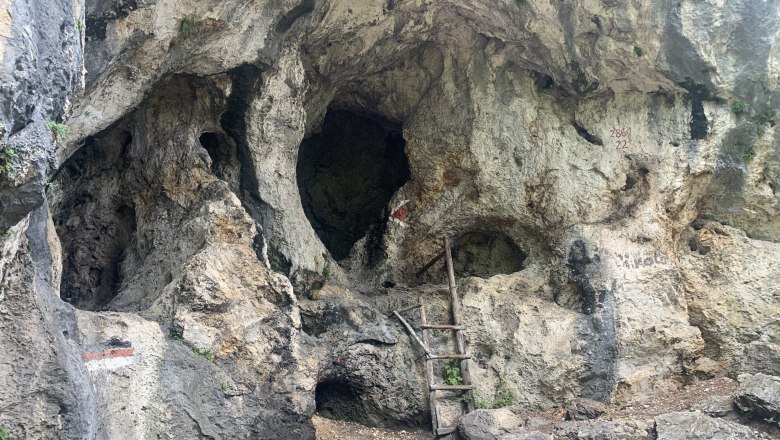 Viewpoint Luckerte Wand, © TVB Semmering-Rax-Schneeberg Rock face with holes and a wooden ladder.