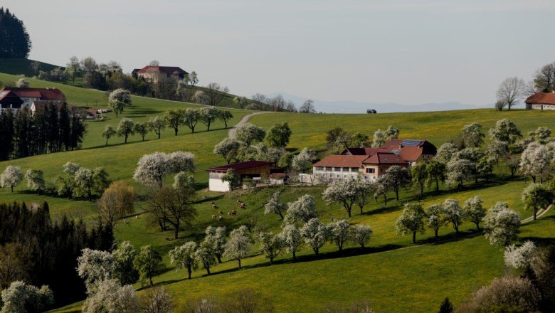 Photo point St. Peter in der Au, © schwarz-koenig.at Photo point St. Peter in der Au, © schwarz-koenig.at