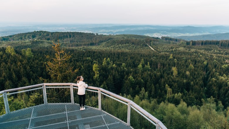 Fogstone, © © Waldviertel Tourismus, sommertage.com A person on a viewing platform looks out over a dense forest in the Waldviertel.