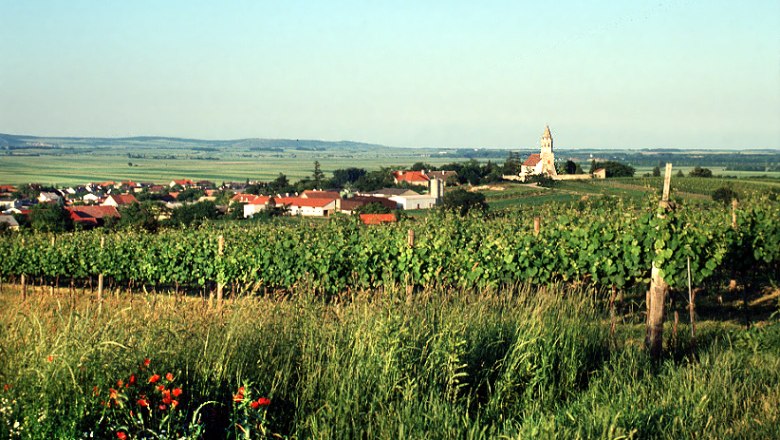 hoeflein_vom_hohen_weg_aus.jpg, © Gemeinde Höflein View of Höflein with vineyards in the foreground and a church in the background.