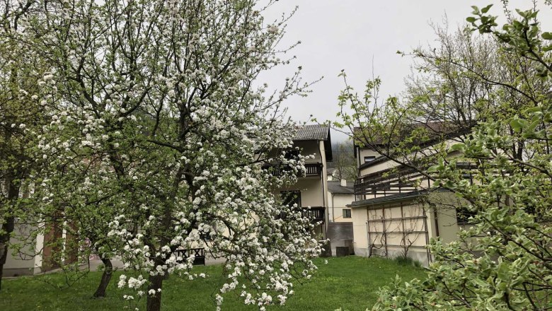 Vacation apartment by the river, © Roland Krätzel Flowering tree in front of a building with balconies.