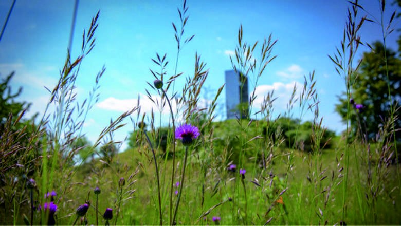 Lindabrunn, © Marktgemeinde Enzesfeld-Lindabrunn Lindabrunn, © Marktgemeinde Enzesfeld-Lindabrunn