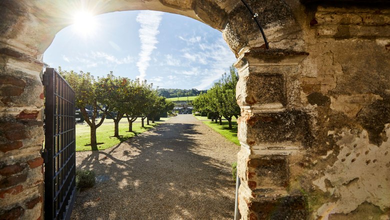 Schallaburg Castle The Restaurant, © Schallaburg Das Restaurant Schallaburg Castle The Restaurant, © Schallaburg Das Restaurant