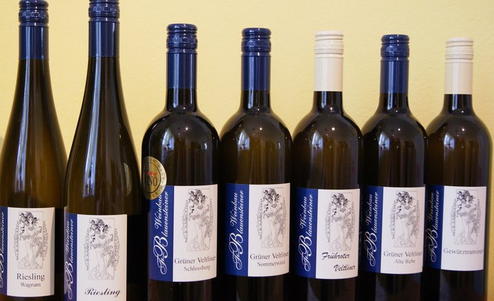 Viticulture Blauensteiner, © Weinbau Blauensteiner Viticulture Blauensteiner, © Weinbau Blauensteiner