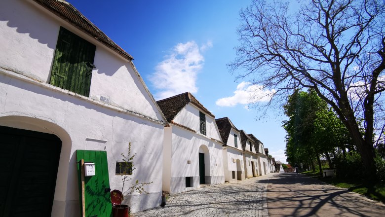 Wine cellar lane Zipf, © Weinstraße Weinviertel Wine cellar lane in Mailberg with white buildings and blue sky.