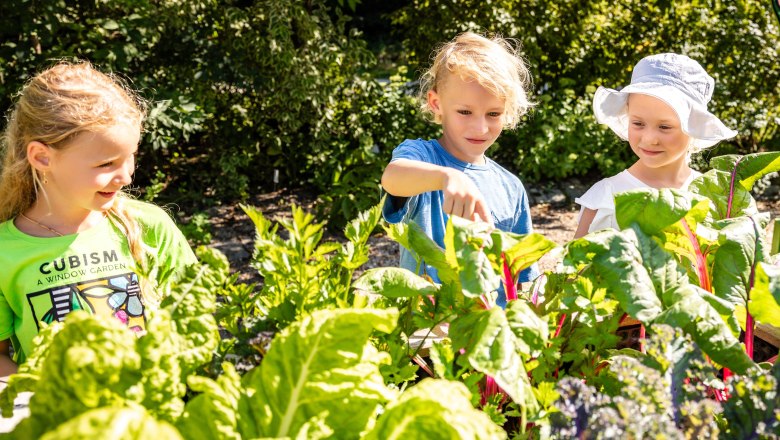 The Tulln Garden, © Friedl und Schmatz Children gardening in the vegetable patch